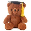Hallmark 2025 Graduation Bear Plush, 8" 1 Hallmark 2025 Graduation Bear Plush, 8" -Hallmark Brown Bear Stuffed Animal With 2025 Grad Cap 1MJG6068 01