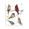 Demdaco Birds 120-Piece Puzzle -Hallmark Colorful Birds Jigsaw Puzzle in Canister 1004610122 01