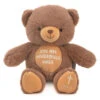 Hallmark You Are Wonderfully Made Teddy Bear Plush, 8"