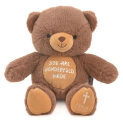 Hallmark You Are Wonderfully Made Teddy Bear Plush, 8"