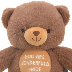 Hallmark You Are Wonderfully Made Teddy Bear Plush, 8" -Hallmark Dark Brown Teddy Bear With Bible Quote Embroidery 1KFA4003 04