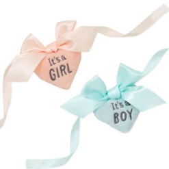 Hallmark Gender Reveal Teddy Bear Plush With Ribbons -Hallmark Gender Reveal Teddy Bear Plush With Ribbons 1BBY4900 04