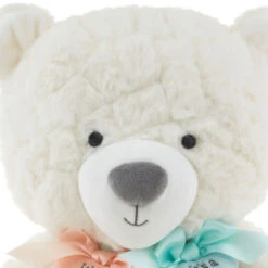 Hallmark Gender Reveal Teddy Bear Plush With Ribbons -Hallmark Gender Reveal Teddy Bear Plush With Ribbons 1BBY4900 05