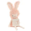 Hallmark MopTops Angora Bunny Stuffed Animal With You Are Loved Board Book -Hallmark MopTops Plush Bunny Stuffed Animal Board Book 1KID1531 01