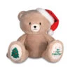 Hallmark My First Christmas Teddy Bear Plush, 10" -Hallmark My First Christmas Plush Bear With Santa Hat 1KCX3013 01