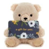 Hallmark Bear Plush Gift Card Holder -Hallmark Plush Teddy Bear Gift Card Holder With Wire Arms 1KGC1005 01