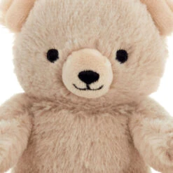 Hallmark Bear Plush Gift Card Holder -Hallmark Plush Teddy Bear Gift Card Holder With Wire Arms 1KGC1005 04