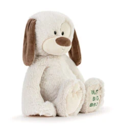 Demdaco Best Big Brother Dog Stuffed Animal, 16" -Hallmark Spotted White Puppy Stuffed Animal for Big Brother 5004840031 03