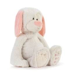 Demdaco Best Big Sister Dog Stuffed Animal, 16" 8 Demdaco Best Big Sister Dog Stuffed Animal, 16" -Hallmark White Puppy Stuffed Animal for Big Sister 5004840032 03